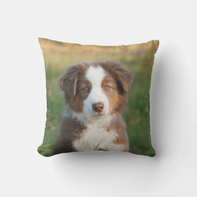 Coussin Cute Australian Shepherd Chien Chien Puppy - pour  (Recto)