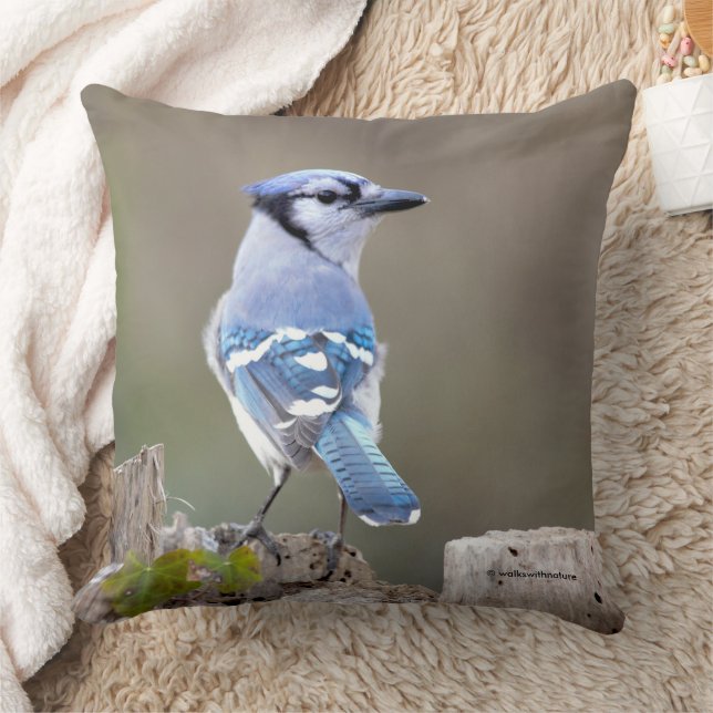 Coussin Cute Bleu Jay Songbird sur Treestump (Couverture)