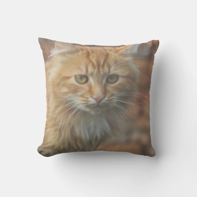 Coussin Cute Funky Ginger Chat Kitten Visage (Recto)
