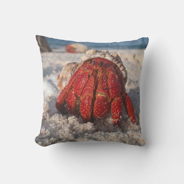 Coussin Cute Hermit Crabe sur White Sandy Beach Closeuse (Recto)