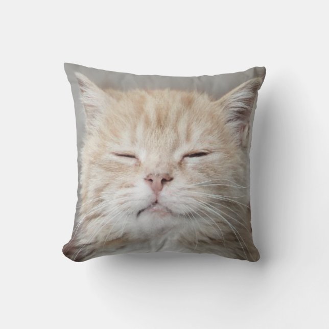 Coussin Cute Kitten Sleeping Face Amoureux des chats (Recto)