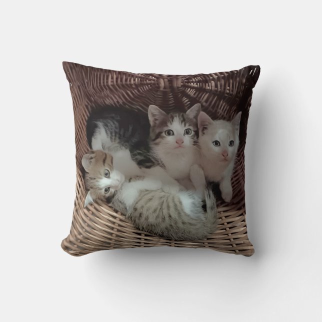 Coussin Cute Kittens in Basket Throw Pillow (Recto)