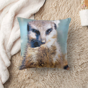 COUSSIN CUTE MEERKAT