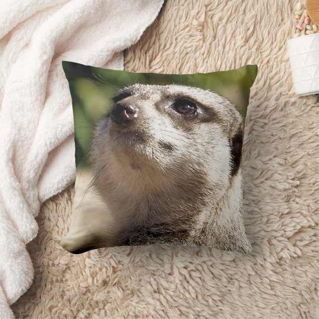 COUSSIN CUTE MEERKAT (Couverture)
