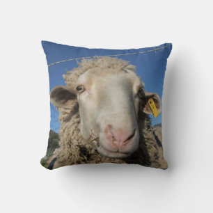 Coussin Cute Mérino Mouton Tête Animal