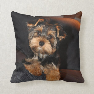 Coussin Cute Yorkshire Terrier Yorkie Chien Chien Chien Ch