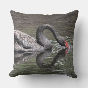 Coussin Cygne noir