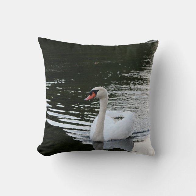 Coussin Cygne tuberculé (Recto)