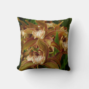Coussin Cymbidium tryanum