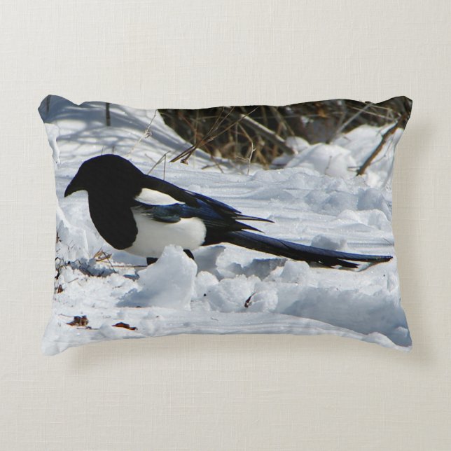 Coussin d'accent Black Billed Rocky Mountain Magpi (Devant)