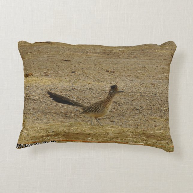 Coussin d'accent de la course routière nord-améric (Dos)
