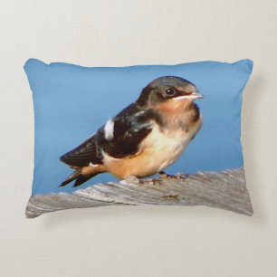 Coussin d'accent de l'hirondelle