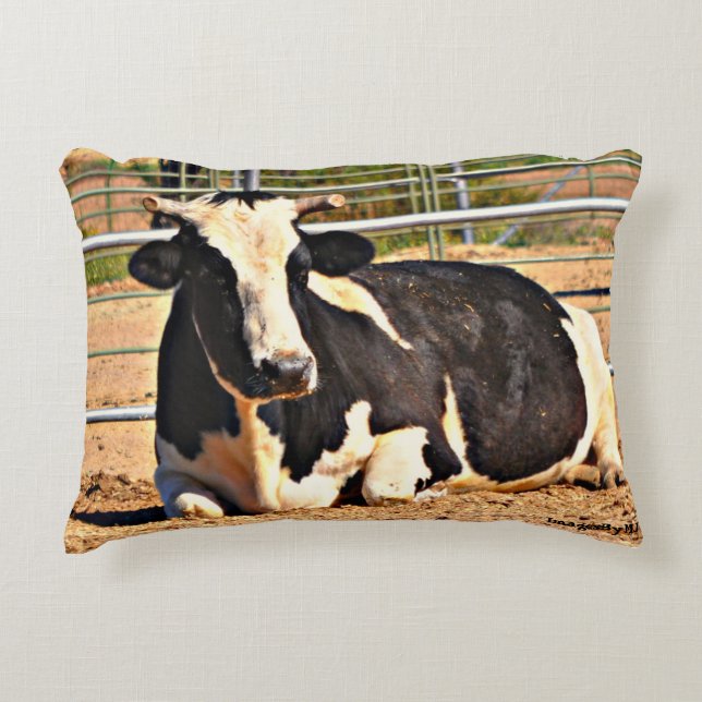 Coussin d'accent de vache à Sonoran (Devant)