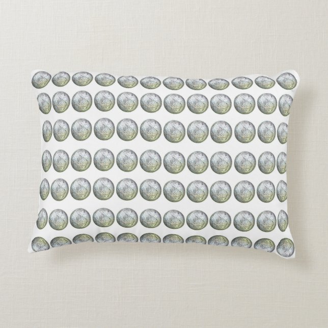 Coussin d'accents argenté et blanc (Dos)