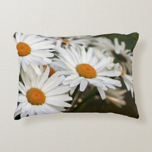 Coussin d'accents de marguerite d'été (Devant)