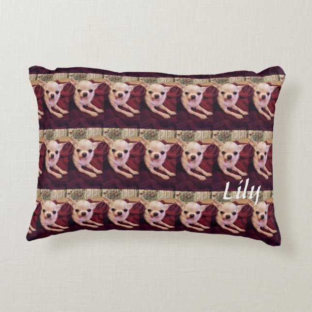 Coussin d'accentuation en coton de qualité A 16 po (Dos)