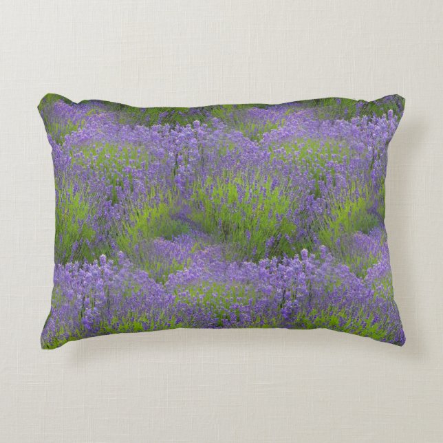 Coussin d'accentuation en coton lavande 16 po x 12 (Devant)