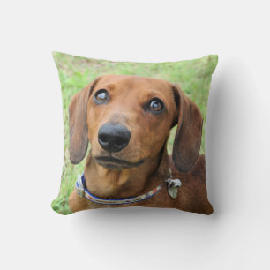 Coussin Dachshund