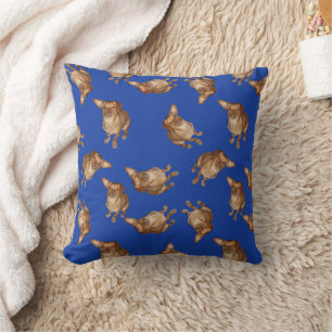 Coussin Dachshund Mix Chien