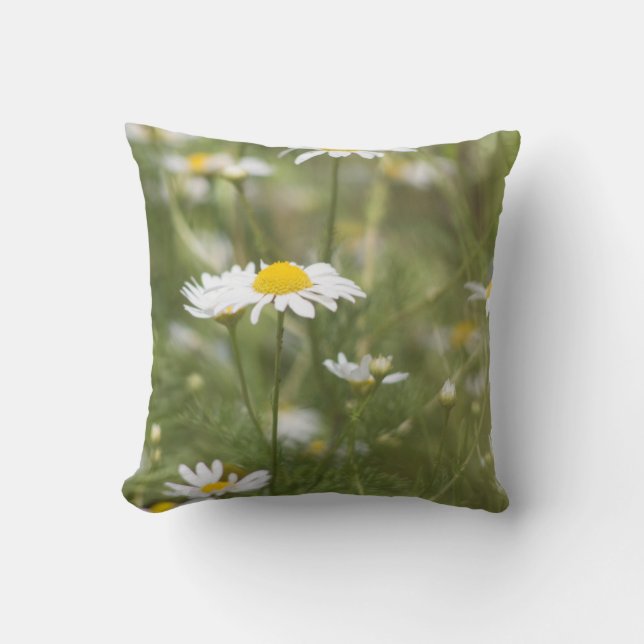 Coussin Daisy (Recto)