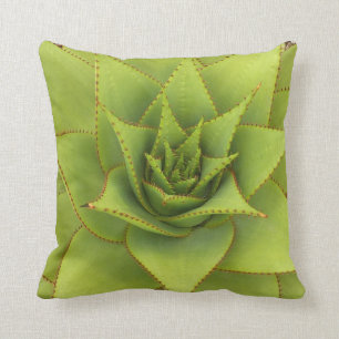 Coussin d'aloès par Debra Lee Baldwin