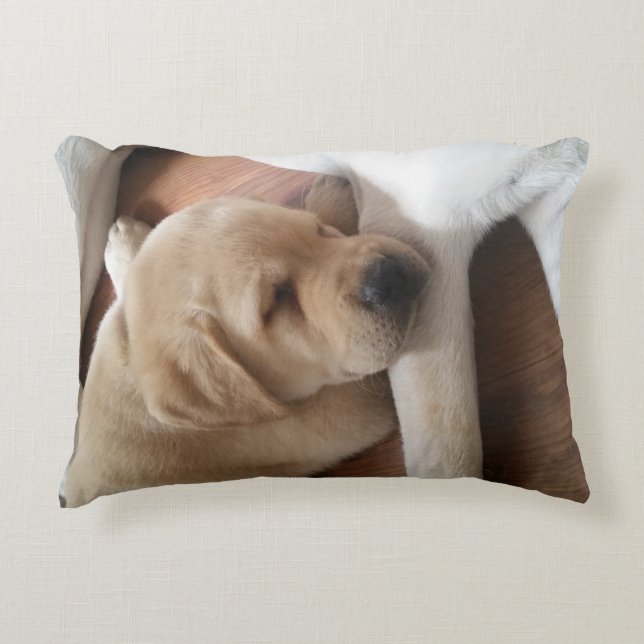 Coussin d'amour de laboratoire (Devant)