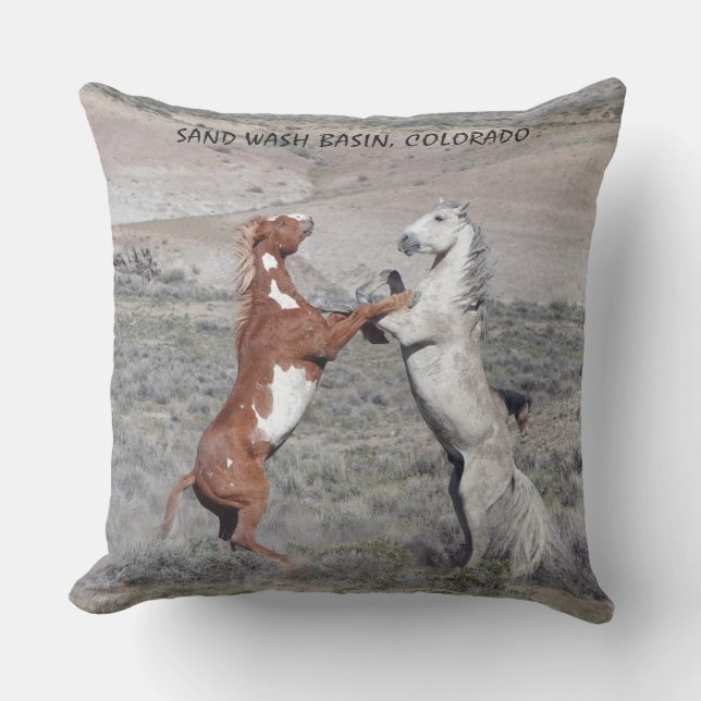 COUSSIN DANCE OF THE STALLIONS PATIO PILLOW (Recto)