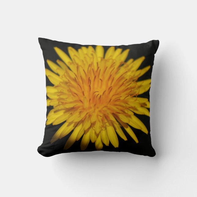 Coussin Dandelion Fleur tpcna (Recto)