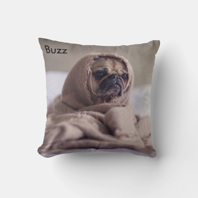 Coussin d'animal familier (Recto)