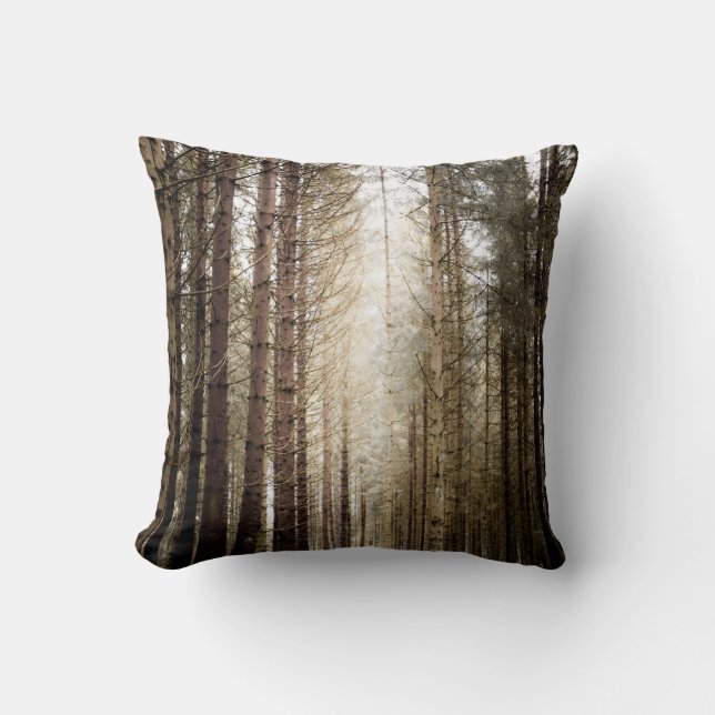 COUSSIN DANS LA FORÊT (Recto)