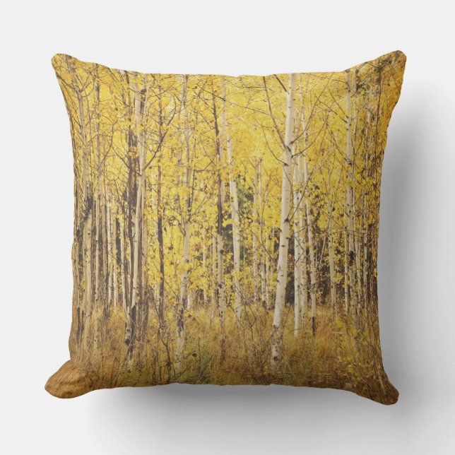 Coussin d'arbre de bouleau - jaune, or brun, blanc (Recto)