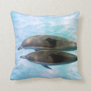 Coussin Dauphins de fileur Oahu Hawaï