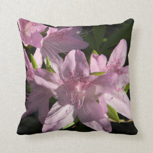 Coussin d'azalées d'après-midi
