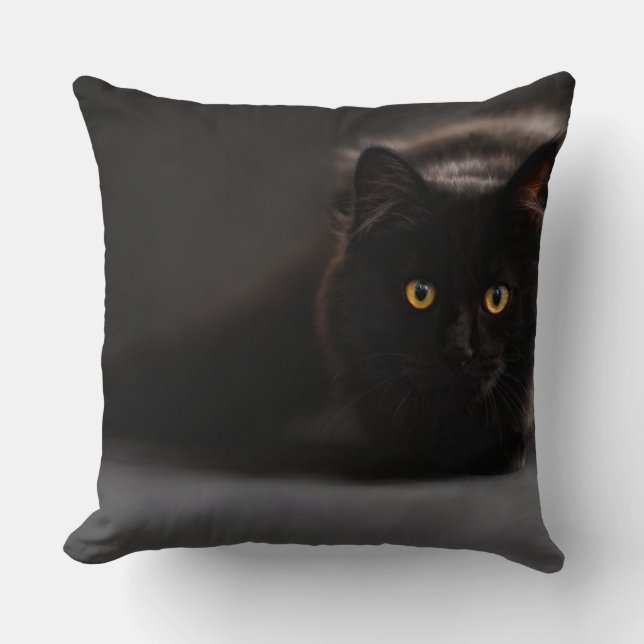 Coussin de 40,5 cm x 40,5 (Recto)