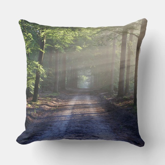 Coussin de 40,5 cm x 40,5 (Recto)