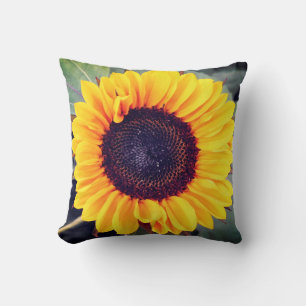 Coussin de beauté des tournesols