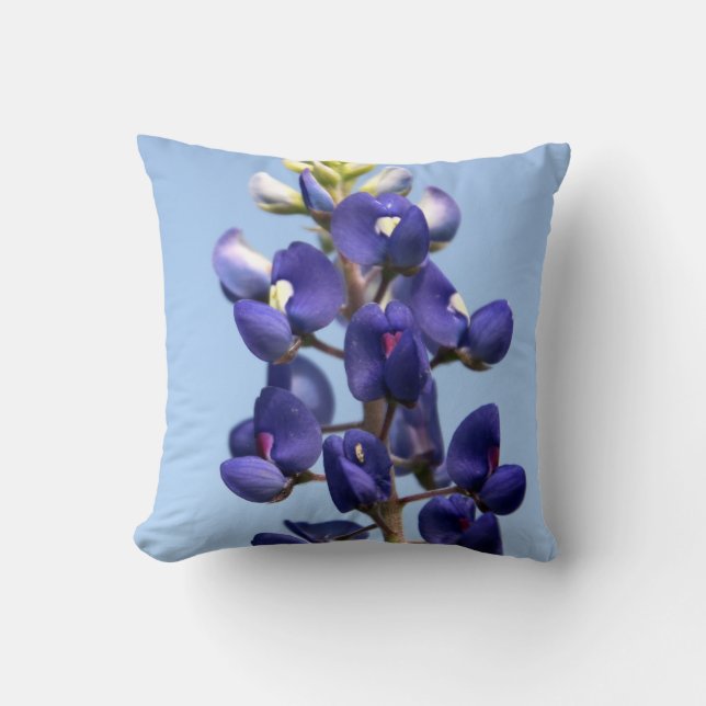 Coussin de Bluebonnet de Texas (Recto)