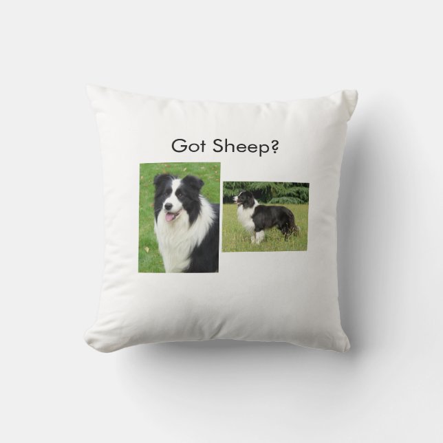 Coussin de border collie (Recto)