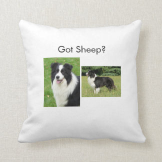 Coussin de border collie