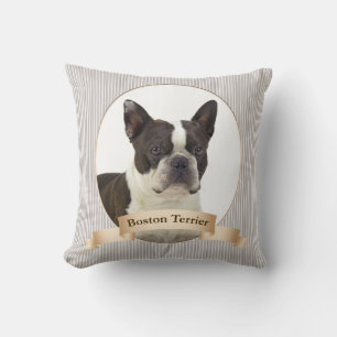 Coussin de Boston Terrier