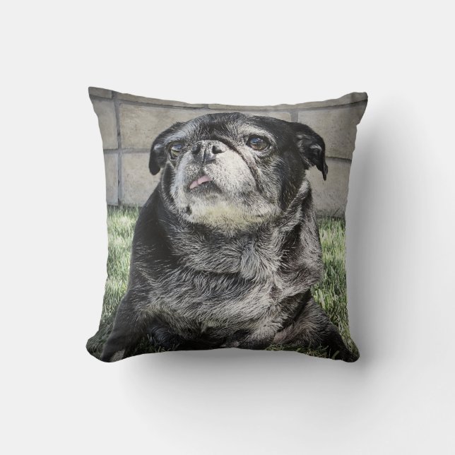 Coussin de Bumblesnot (Recto)