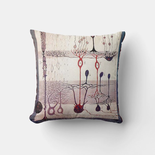 Coussin de Cajal (Recto)