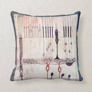 Coussin de Cajal