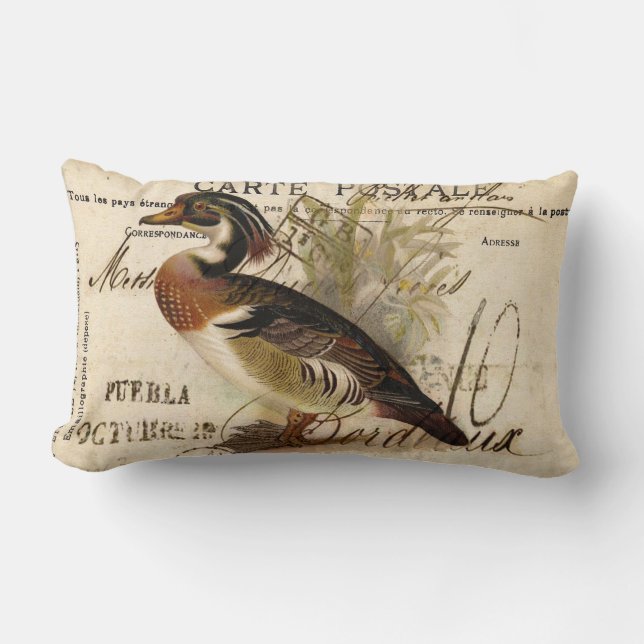 Coussin de canard (Recto)