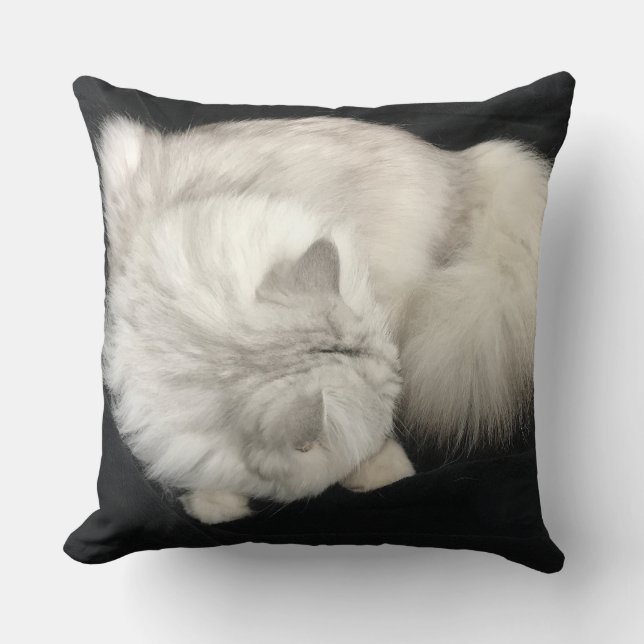 Coussin de caresse de chat (Recto)