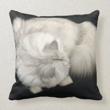 Coussin de caresse de chat