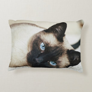 Coussin de chat siamois
