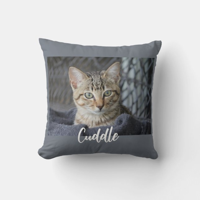 Coussin de chats mignons (Recto)