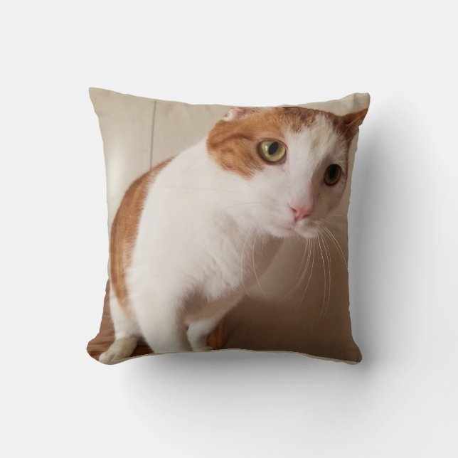 Coussin de Cheeto (Recto)