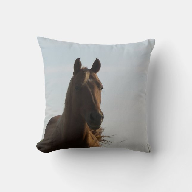 Coussin de cheval (Recto)